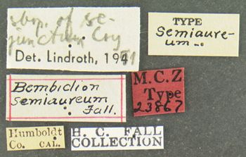 Media type: image;   Entomology 23867 Aspect: labels